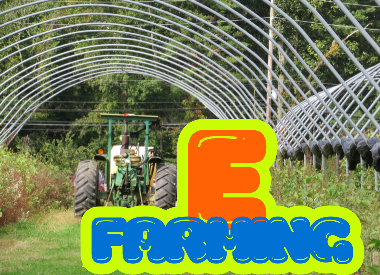 E Farming